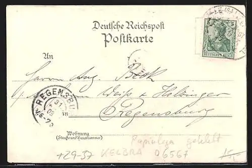 Lithographie Kyffhäuser, Panorama mit Kaiser Wilhelm-Denkmal, Preussischer Adler