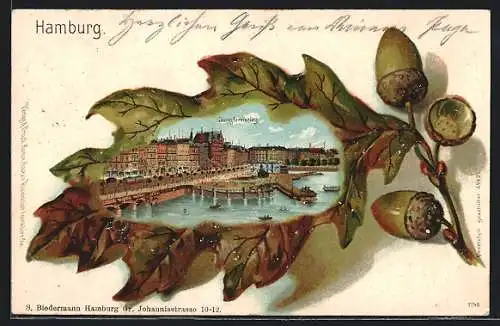 Passepartout-Lithographie Hamburg-Neustadt, Jungfernstieg im Eichelblatt