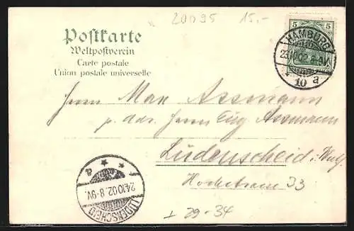 Passepartout-Lithographie Hamburg-Neustadt, Jungfernstieg im Eichelblatt