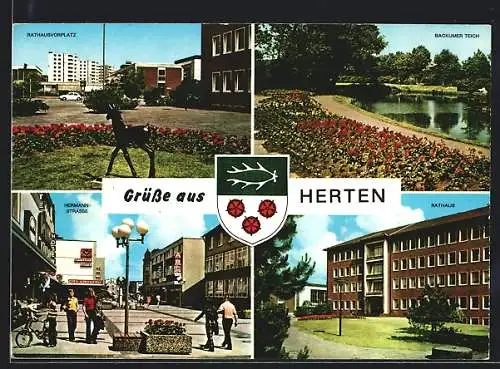 AK Herten / Westf., Rathausvorplatz, Backumer Teich, Hermann-Strasse, Rathaus und Wappen