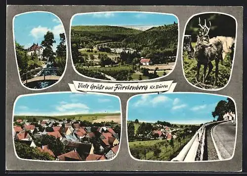 AK Fürstenberg / Westf., Blick auf die Ortschaft, einzelnes Haus im Wald