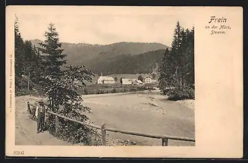 AK Frein a. d. Mürz, Flussufer und Weg in den Ort