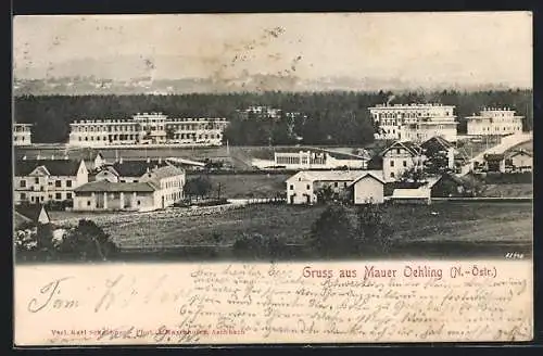 AK Amstetten, Mauer-Oehling, Blick über den Ort