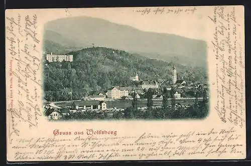 AK Wolfsberg, Totalansicht