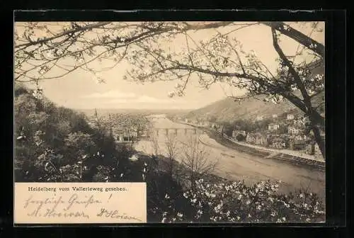 AK Heidelberg / Neckar, Ortsansicht vom Vallerieweg aus gesehen