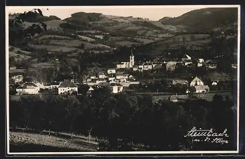 AK Steinbach an der Steyr, Gesamtansicht mit Kirche