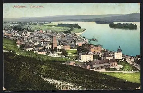 AK Rüdesheim / Rhein, Ortsansicht aus der Vogelschau