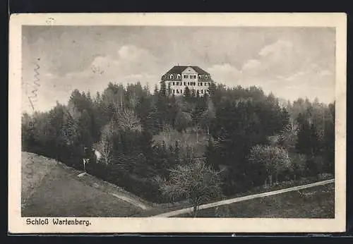 AK Geisingen / Baden, Blick auf das Schloss Wartenberg