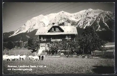 AK Ramsau, Gasthaus Landfried Seeh. mit Dachsteingebirge