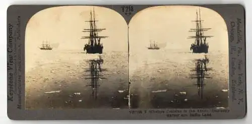 Stereo-Fotografie Keystone View Co., Meadville, Ansicht Baffininsel, Whalers Cruisin in the Arctic, Walfänger