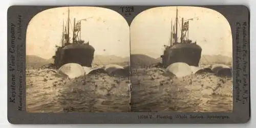 Stereo-Fotografie Keystone View Co., Meadville, Ansicht Spitzbergen, Floating Whalte Station, Walfänger mit erlegten Wal