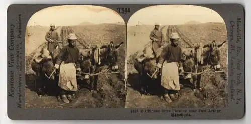 Stereo-Fotografie Keystone View Co., Meadville, Ansicht Port Arthur, Chinese Boys Plowing near Port Arthur, Manchuria