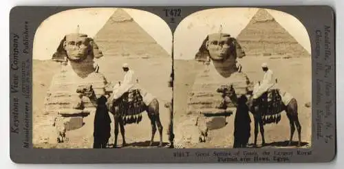 Stereo-Fotografie Keystone View Co., Meadville, Ansicht Gizeh, Great Sphinx of Gizeh and Pyramide, Kamel