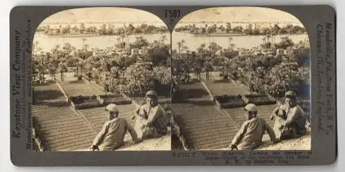 Stereo-Fotografie Keystone View Co., Meadville, Ansicht Iraq, Locates the Garde of Eden in the Valley of Euphrates