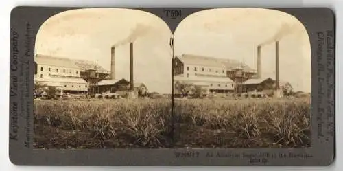 Stereo-Fotografie Keystone View Co., Meadville, Ansicht Hawaii, an American Sugar Mill in the Hawaiian Island