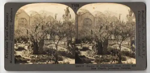 Stereo-Fotografie Keystone View Co., Meadville, Ansicht Jerusalem, Garden of Gethsemane and New Church