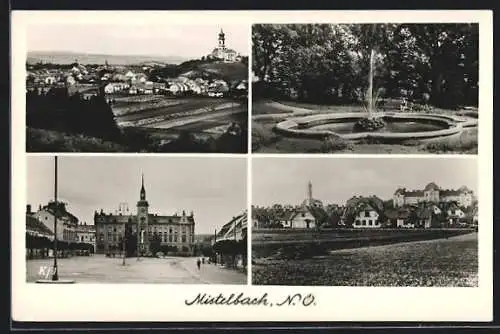 AK Mistelbach /N.-Ö., Rathaus, Brunnen, Ortspartie