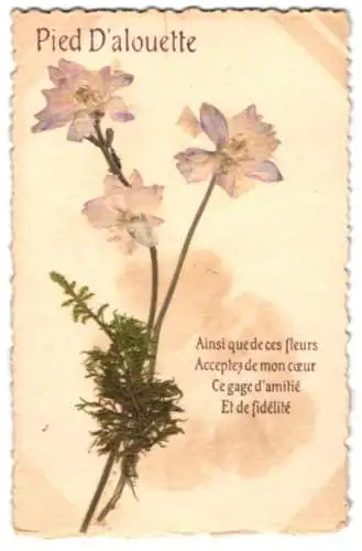 Trockenblumen-AK Ein kleiner Strauss aus echten Blumen
