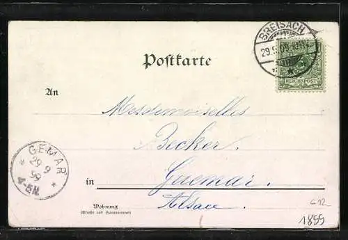 Lithographie Friedrich Grossherzog von Baden in Uniform mit Epauletten