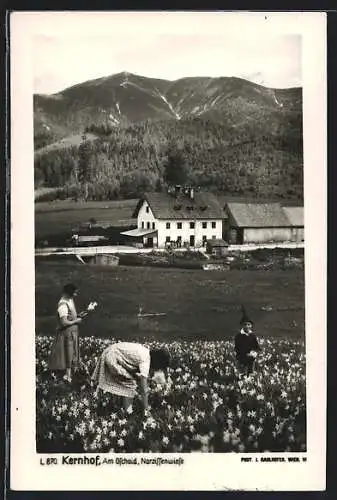 AK Kernhof, Alpengasthof am Gschaid, Kinder pflücken Blumen auf der Narzissenwiese