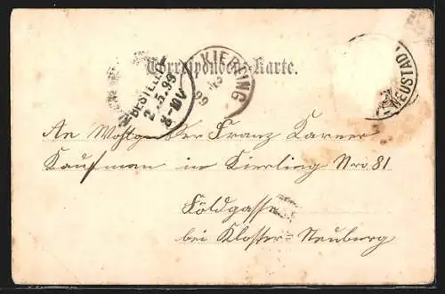 AK Waldegg, Oed, Gesamtansicht aus der Vogelschau, Ortspartie