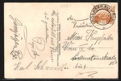 AK Schollach, Maria Steinparz, Ortsansicht mit der Kirche aus der Vogelschau