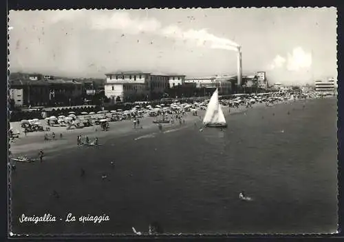 AK Senigallia, La spiaggia