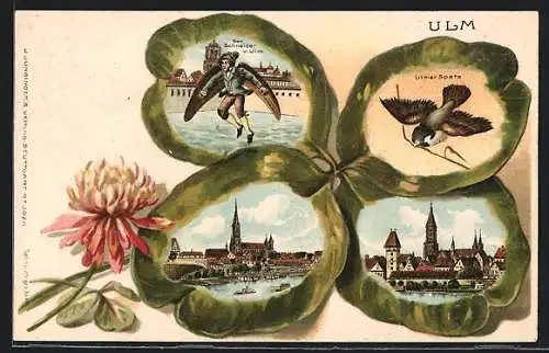 Passepartout-Lithographie Ulm / Donau, Schneider von Ulm, Ulmer Spatz, Ortsansichten in einem Kleeblatt