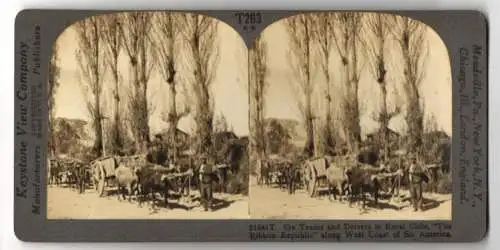 Stereo-Fotografie Keystone View Co., Meadville, Ansicht Rural, Ox Teams and Drivers The Ribbon Republic on West Coast