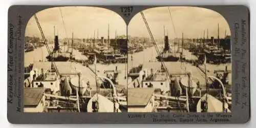 Stereo-Fotografie Keystone View Co., Meadville, Ansicht Buenos Aires, most Costly Docks in Western Hemisphere, Hafen