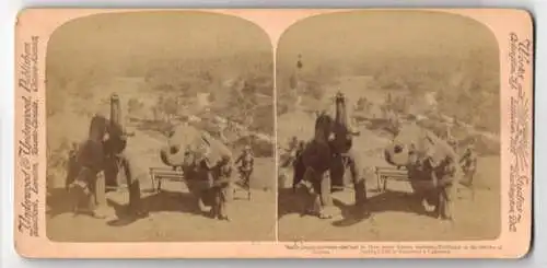 Stereo-Fotografie Underwood & Underwood, New York, Indische Elefantenbändiger mit ihren Elefanten