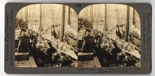 Stereo-Fotografie Keystone View Co., Meadville, Ansicht Boston / MA., Fishing Boats Unloading Halibut at Dock