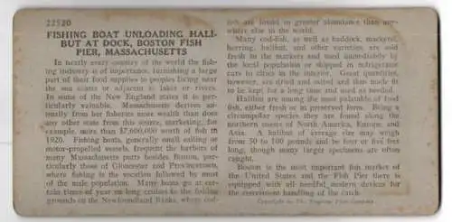 Stereo-Fotografie Keystone View Co., Meadville, Ansicht Boston / MA., Fishing Boats Unloading Halibut at Dock