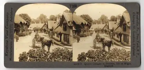 Stereo-Fotografie Keystone View Co., Meadville, Ansicht Shankling / IOW, Quaint Cottages, Horse Cart