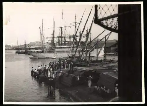 Fotografie Winter, Ansicht Tunis, Holz vor der Verladung im Hafen