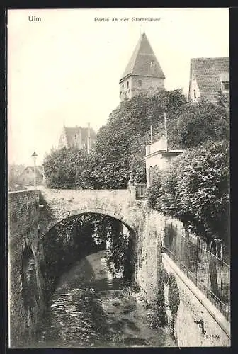 AK Ulm / Donau, Teilansicht an der Stadtmauer