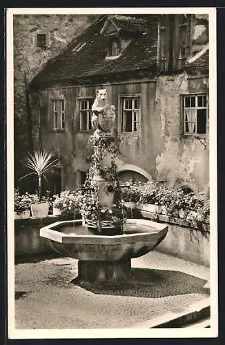 AK Meersburg am Bodensee, Idyll am Bärenbrunnen