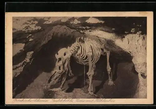 AK Teufelshöhle, Partie mit Höhlenbär-Skelett