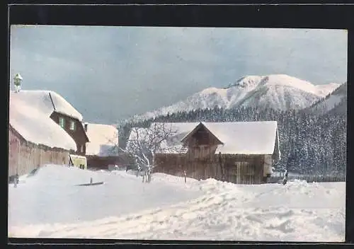 AK Mitterndorf, Steirisches Salzkammergut, Lawinenstein