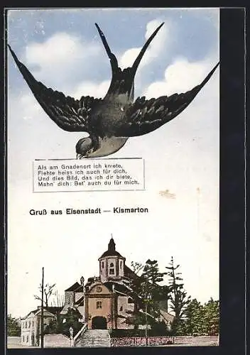 AK Eisenstadt, Schwalbe mit Mahnung im Schnabel über der Kirche