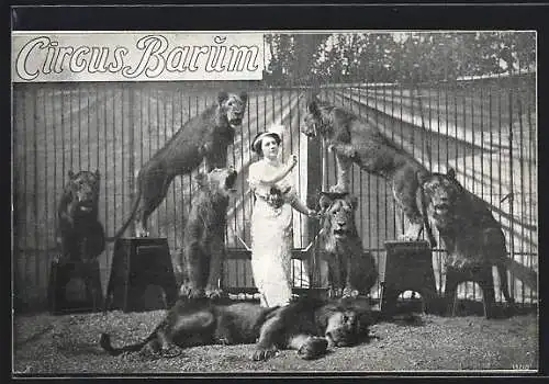 AK Circus Barum, Dompteurin mit Löwen im Gehege