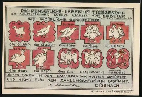 Notgeld Eisenach, 50 Pfennig, Wartburg, Gans, Fledermaus, Henne