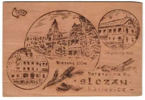 Holz-AK Karlovice, Slazsky Dum, Ubytovna mir