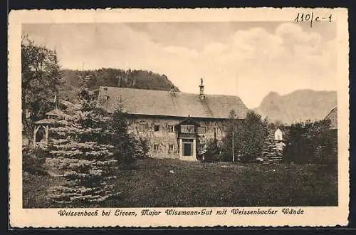 AK Weissenbach bei Liezen, Major Wissmann-Gut mit Weissenbacher Wände