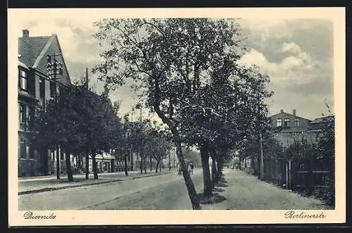 AK Diemitz, Blick in die Berliner Strasse