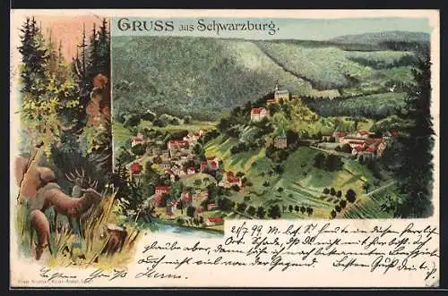 Lithographie Schwarzburg / Thüringer Wald, Ort umgeben von Waldidylle