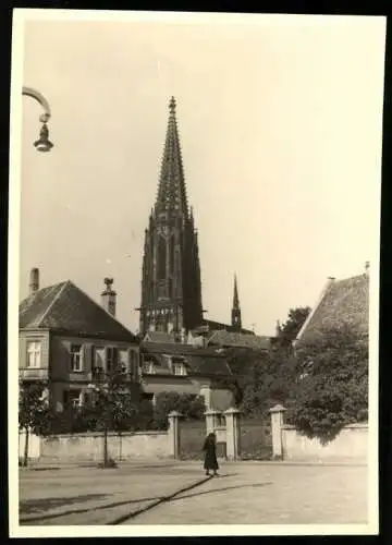Fotografie unbekannter Fotograf, Ansicht Münster i. W., Blick zur Kathedrale