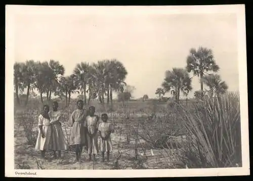 Fotografie unbekannter Fotograf, Ansicht Owamboland - Deutsch-Südwestafrika / Namibia, Eingeborene Mädchen