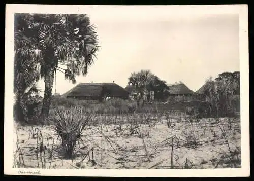 Fotografie unbekannter Fotograf, Ansicht Owamboland - Deutsch-Südwestafrika / Namibia, Dorf der Eingeborenen