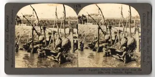 Stereo-Fotografie Keystone View Co., Meadville, Egyptian Fellahin lifting Water from the Nil with Shadoofs